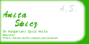 anita spicz business card